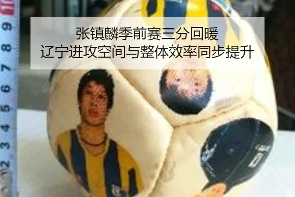 张镇麟季前赛三分回暖 辽宁进攻空间与整体效率同步提升（6686SPORT）
